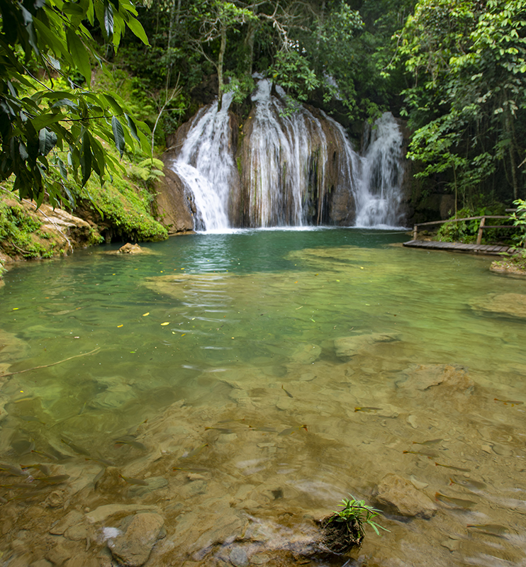 Bonito - Photo by Hudson Garcia (2)